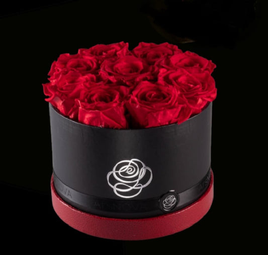 CAPPELLIERE ROSE VERE STABILIZZATE ARS NOVA GRANDE