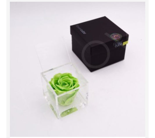 ROSA STABILIZZATA VERDE 8X8 FLOWER CUBE ARS NOVA