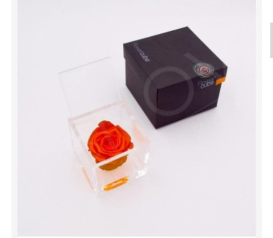 ROSA STABILIZZATA ARANCIONE 8X8 FLOWER CUBE ARS NOVA