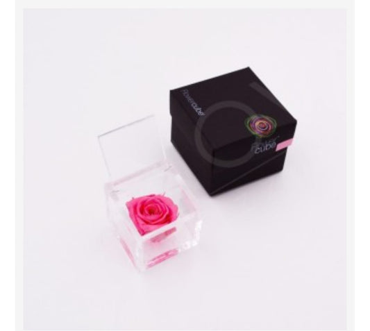 ROSA STABILIZZATA ROSA 8X8 FLOWER CUBE ARS NOVA