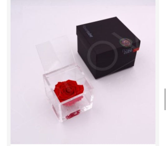 ROSA STABILIZZATA ROSSA 8X8 FLOWER CUBE ARS NOVA